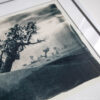 fotografia analogowa - cyjanotypia z Maroko - pustynia "niepusta" - obrazek 6